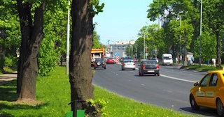 Посадка деревьев и кустарников в Горном-Алтайске — стоимость от 1244 руб.